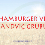 hamburger ve sandviç grubu ürünleri, hamburger ve sandviç grubu,