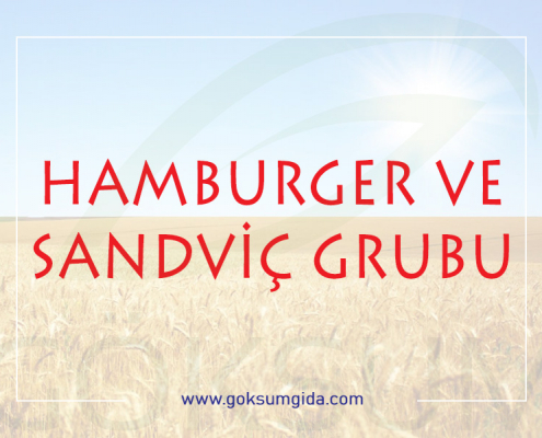 hamburger ve sandviç grubu ürünleri, hamburger ve sandviç grubu,