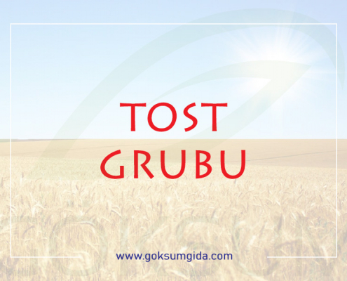 tost grubu ürünleri, tost grubu,